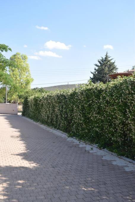 εύη Villa