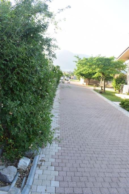 εύη Lygourio